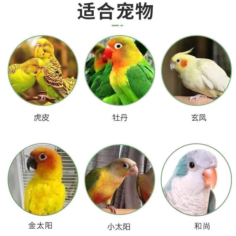 余生挚爱