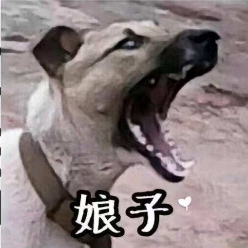 -失眠小鱼- 🐟