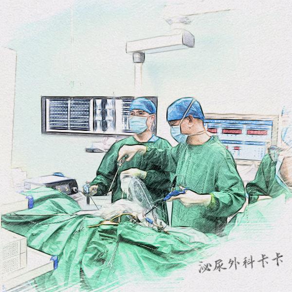 泌尿外科卡卡
