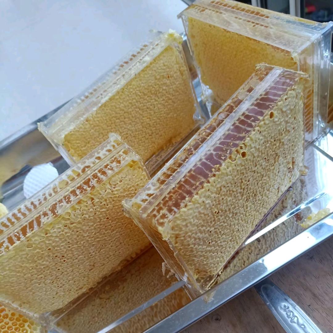 胜哥巡蜂