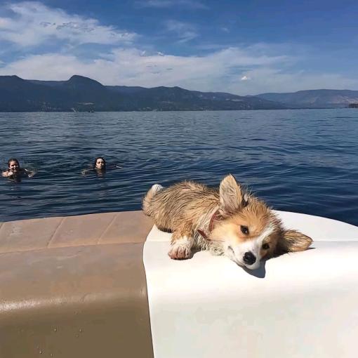 盧安安.7️⃣7️⃣