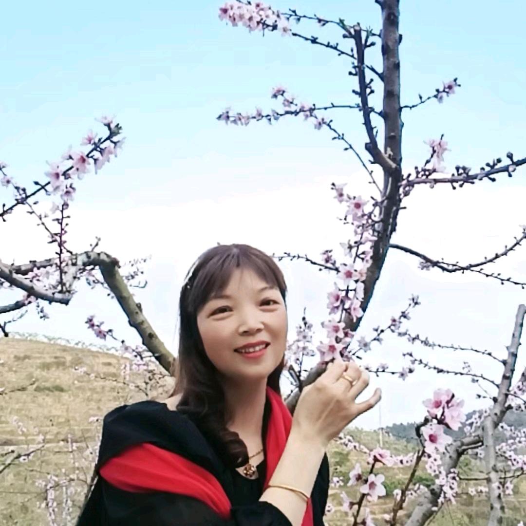 琴儿小苹果