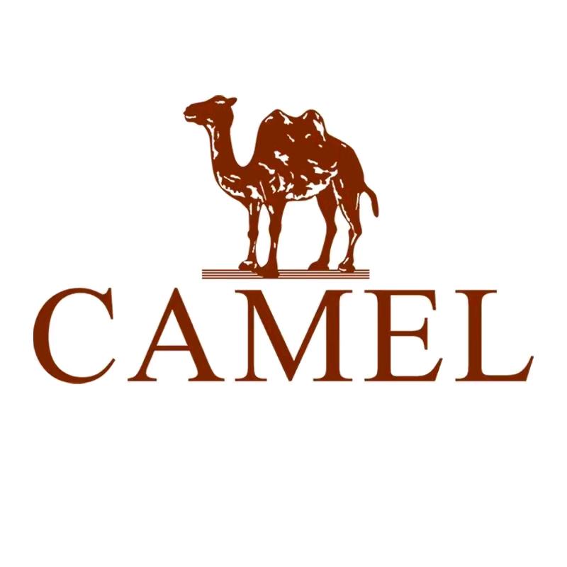 天山骆驼CAMEL