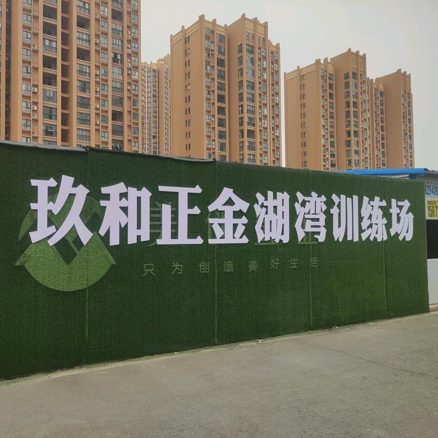 @玖和正金湖湾胡教练