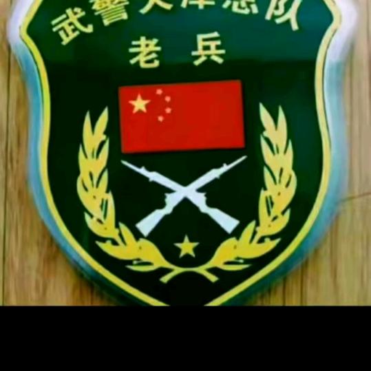 荣耀铁鹰武退