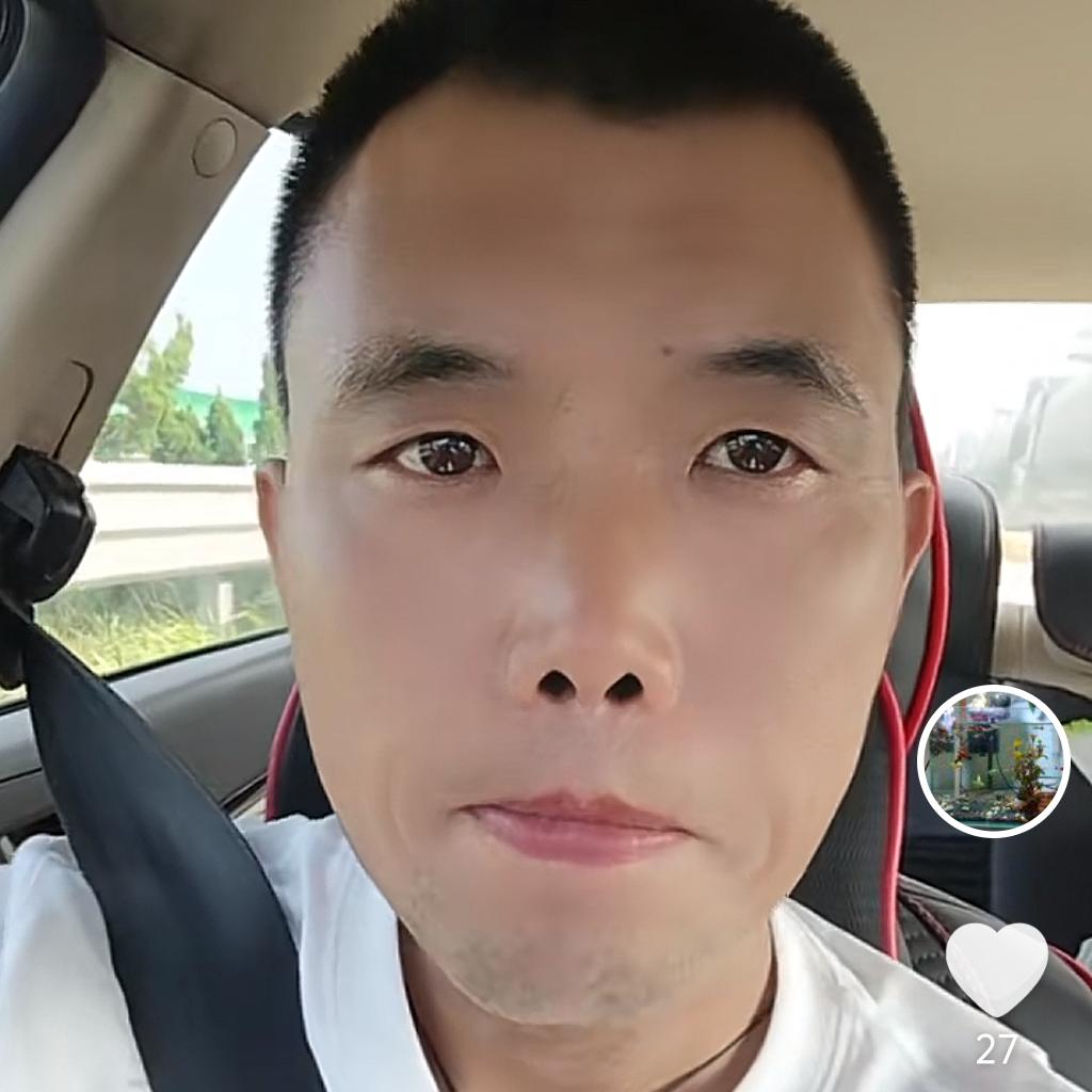 八戒别闹