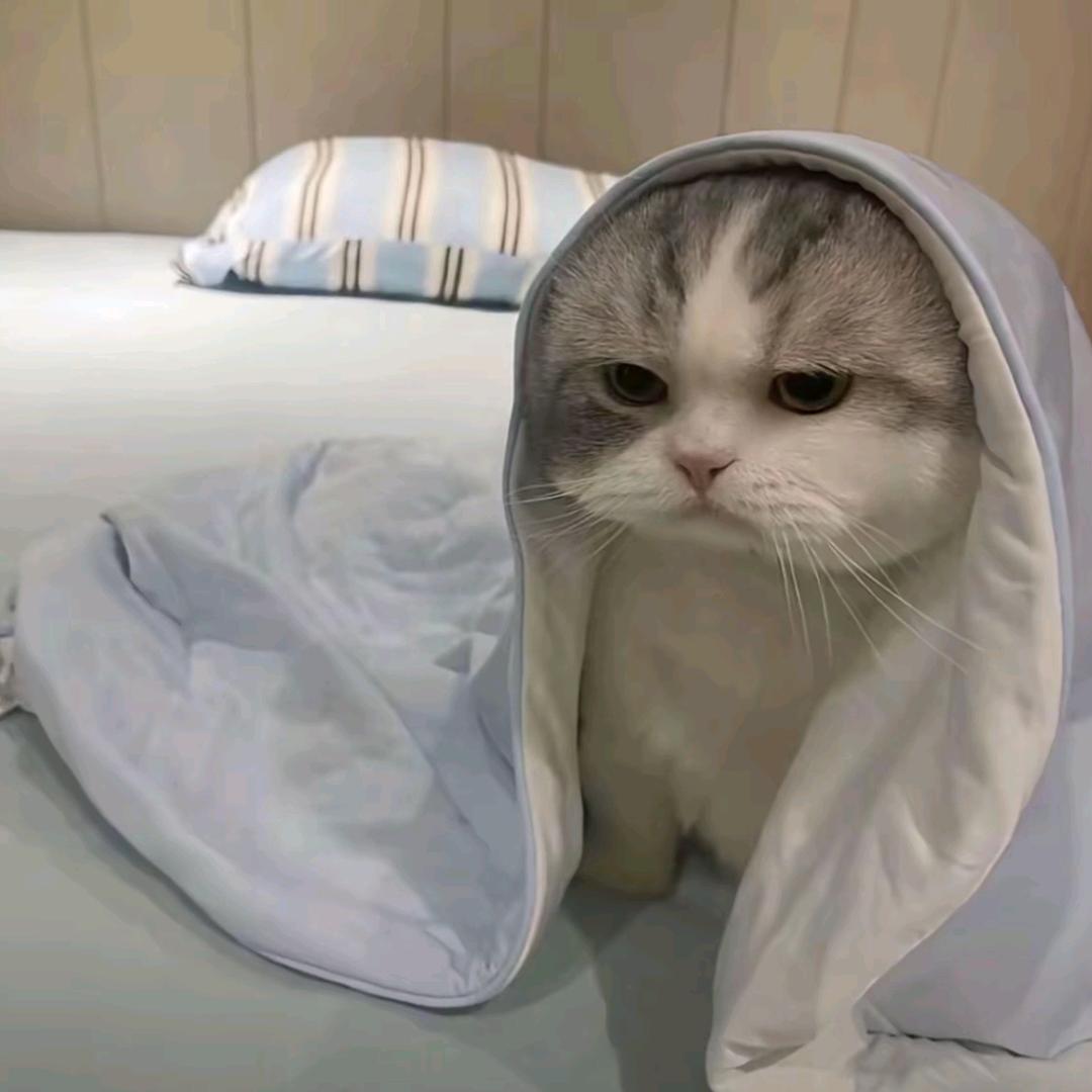小叶