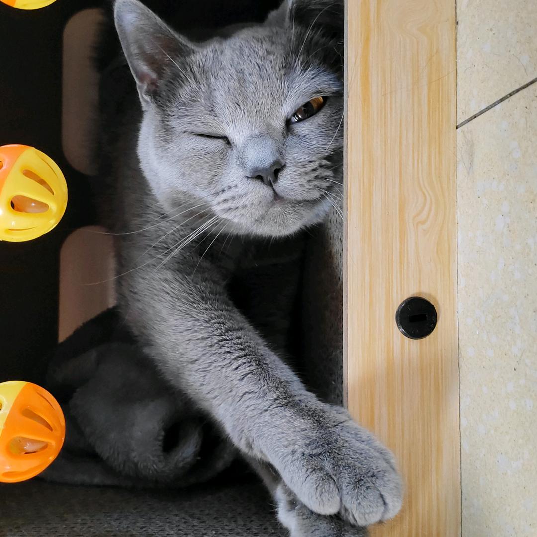 珊珊