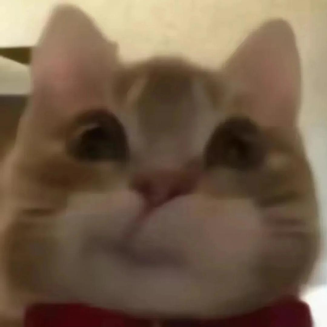李白白白白白