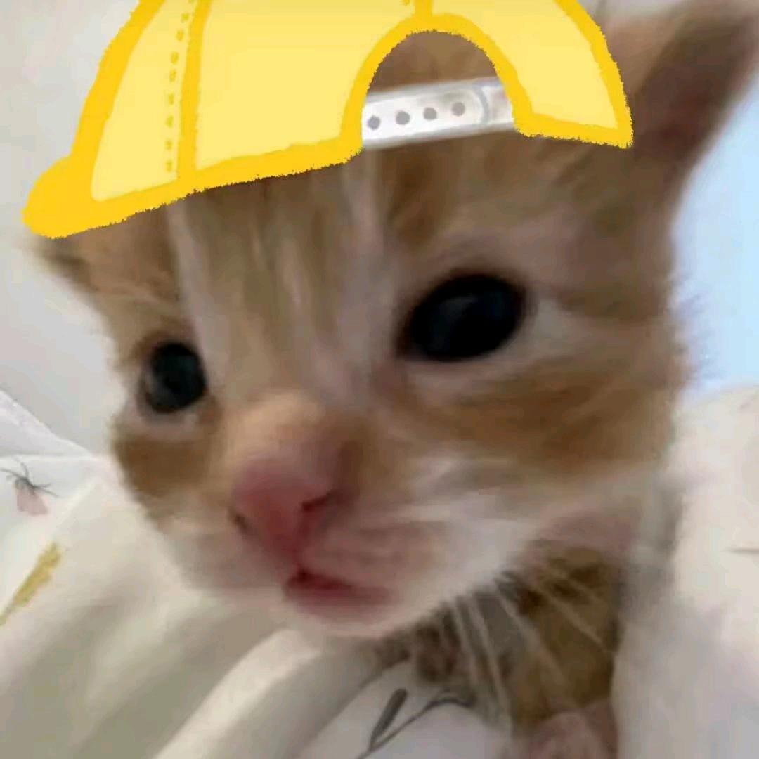 贰十九