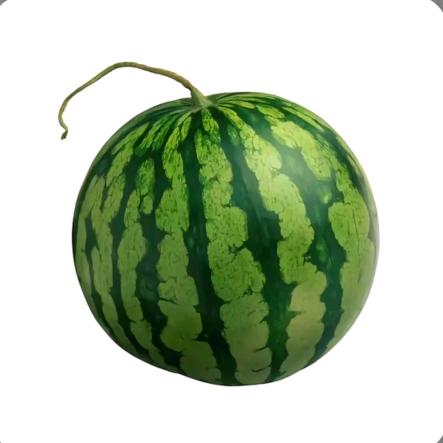 大西瓜有脚脖子