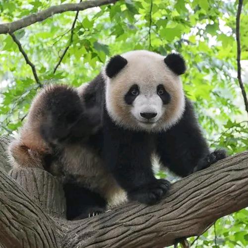 繁星～～～