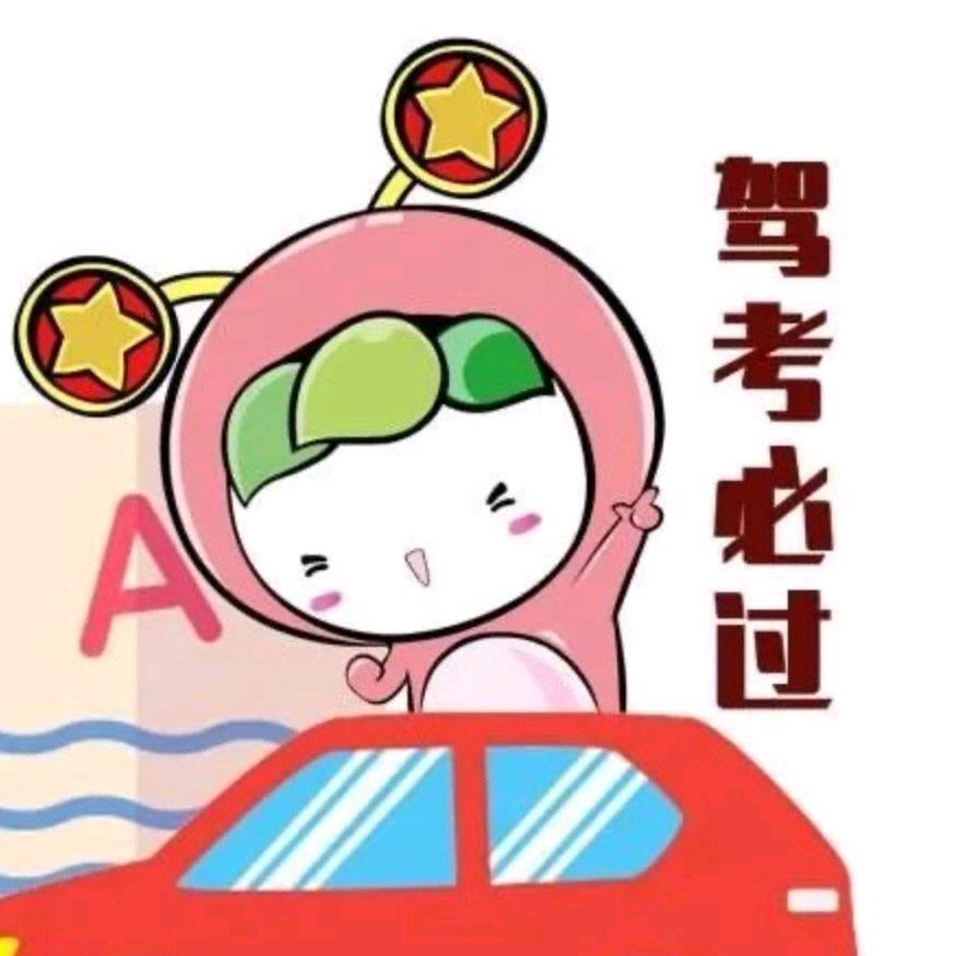 驾考技巧，辅导老师