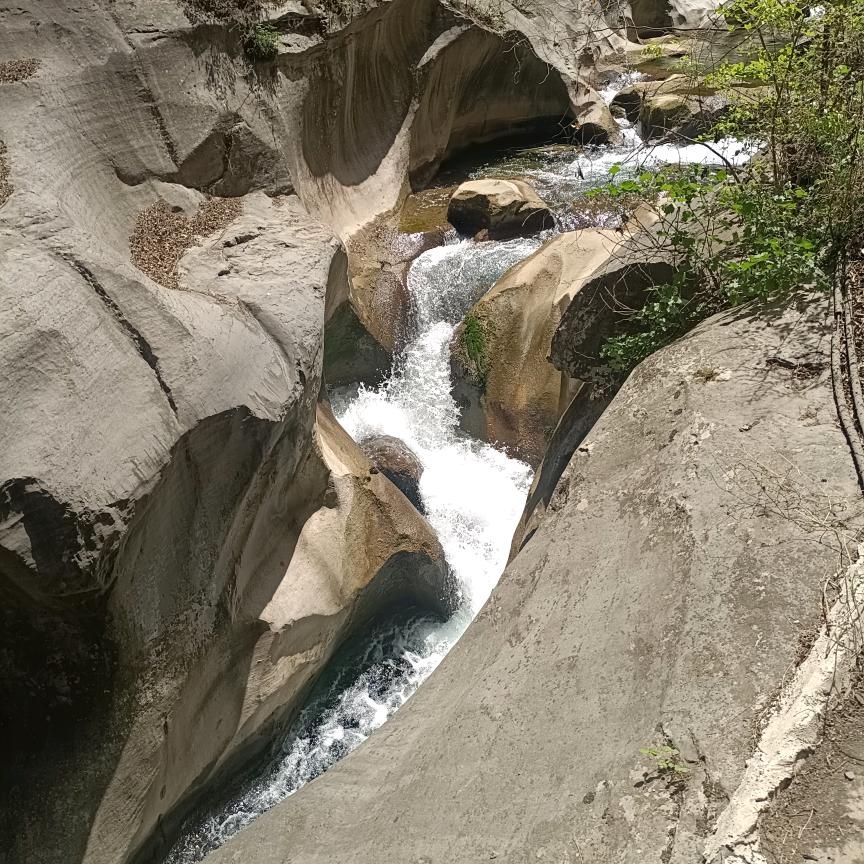 烁宝奶，姝宝姥。