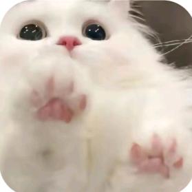 牛奶