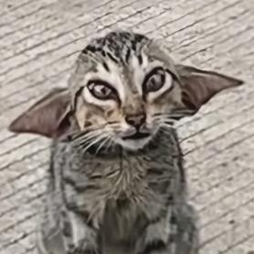 小瓷人