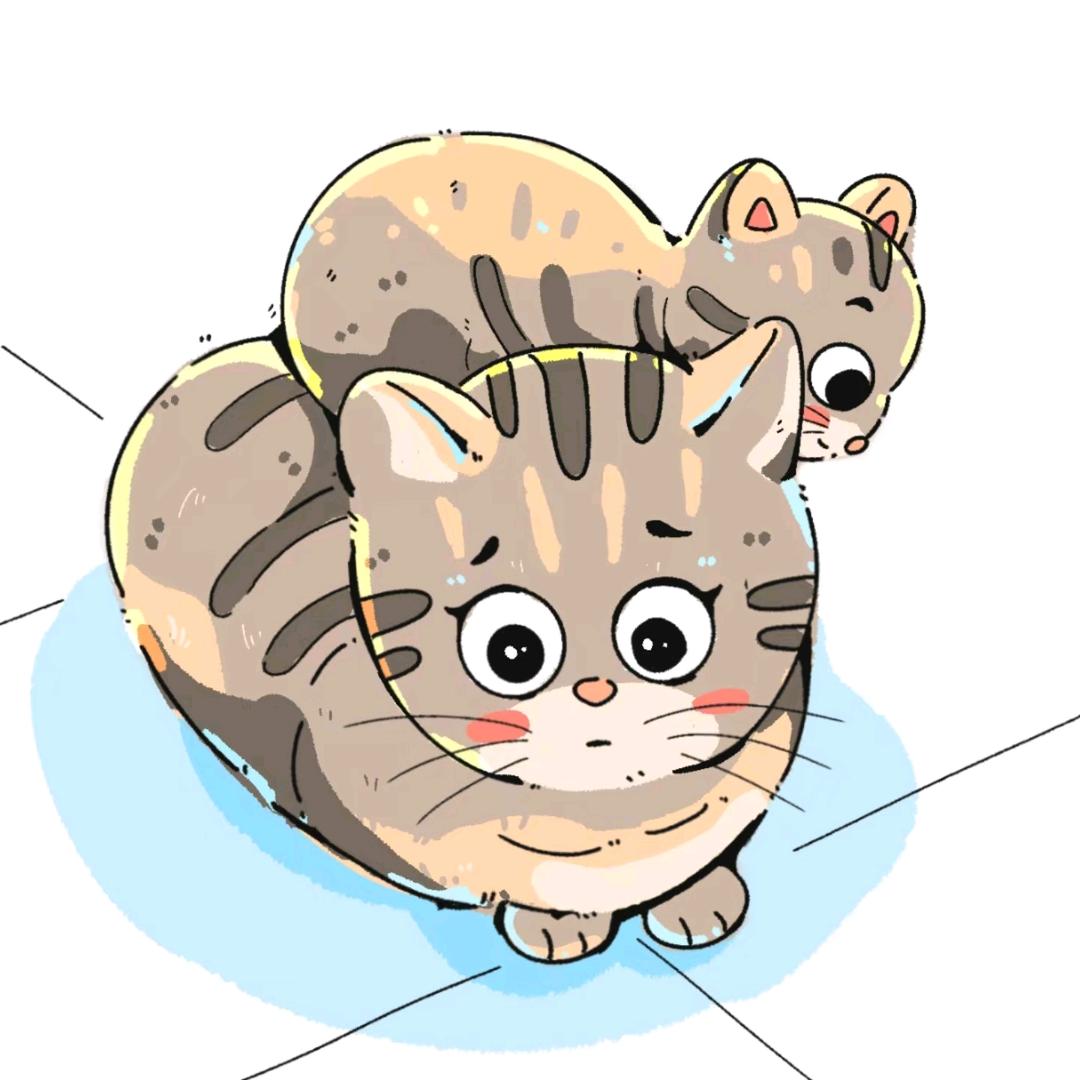 可爱喵喵