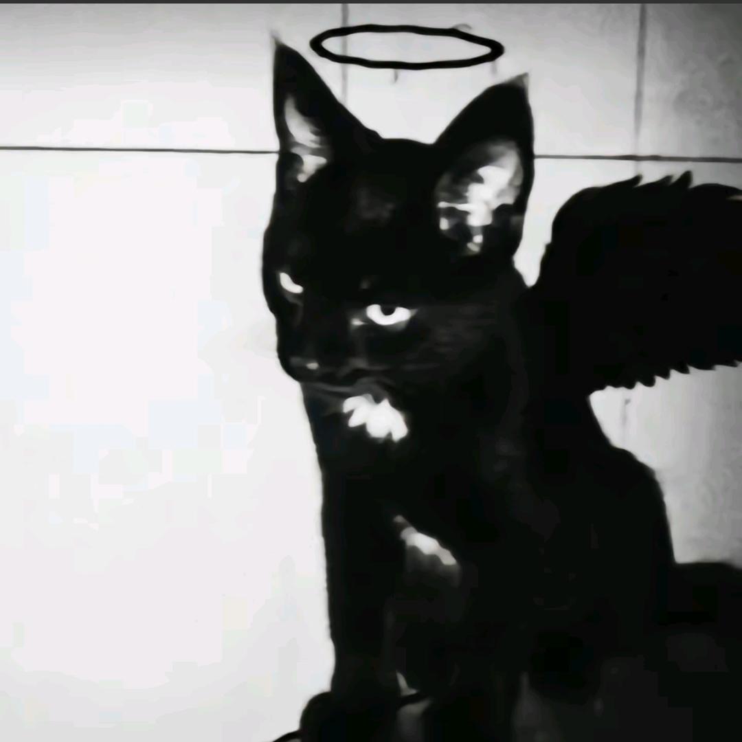 想吃猫的鱼🐟.