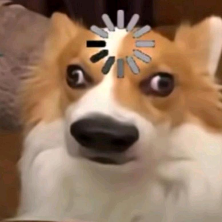 反应贝壳如何呢