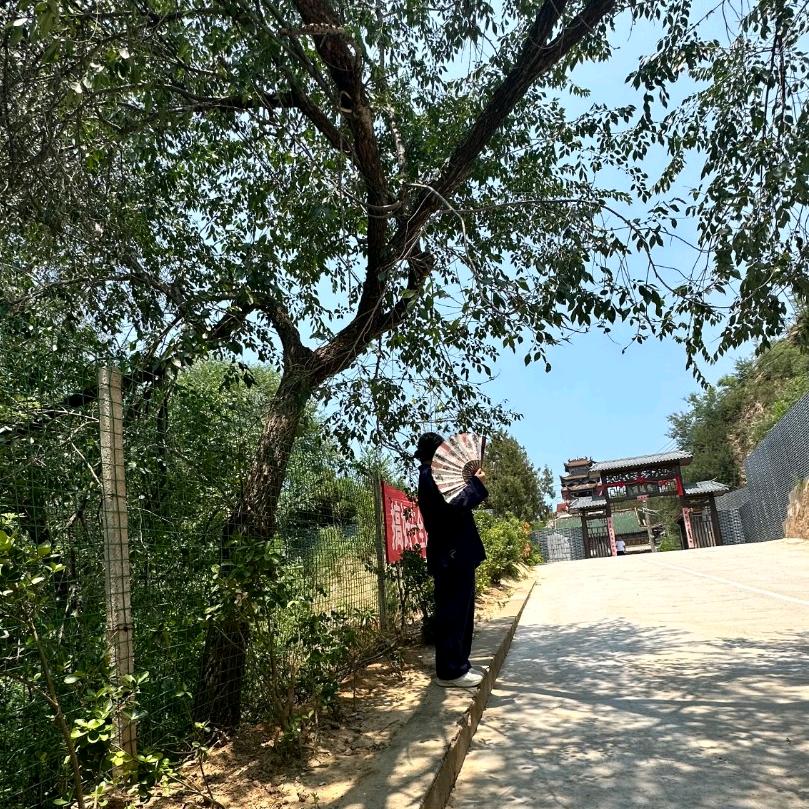 净明小钢蛋