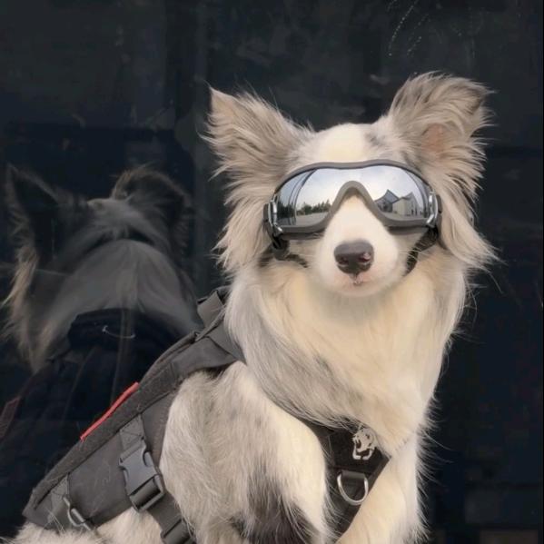 儿儿世界第一可爱