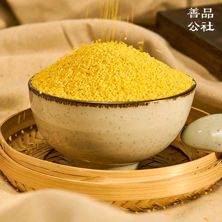 孙系养生日记
