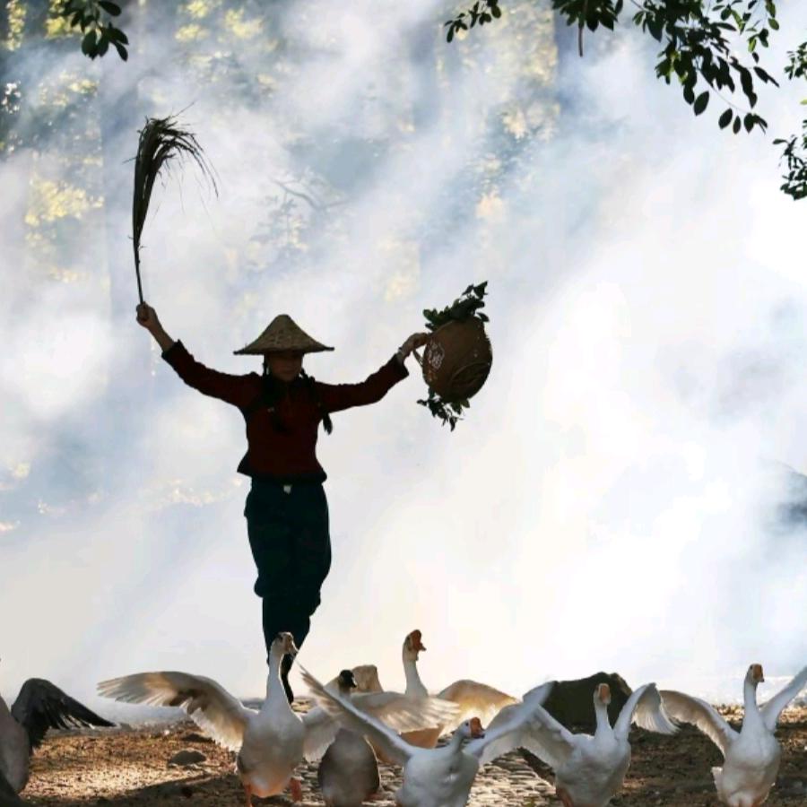 何所冬暖（乌镇村集体经济）