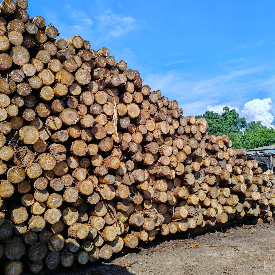 ：大自然杉木加工