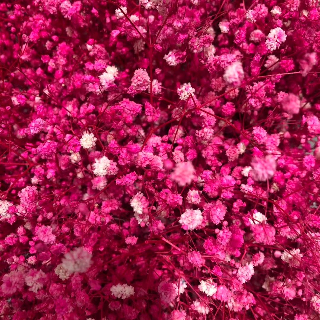 武功县～王子鲜花婚庆