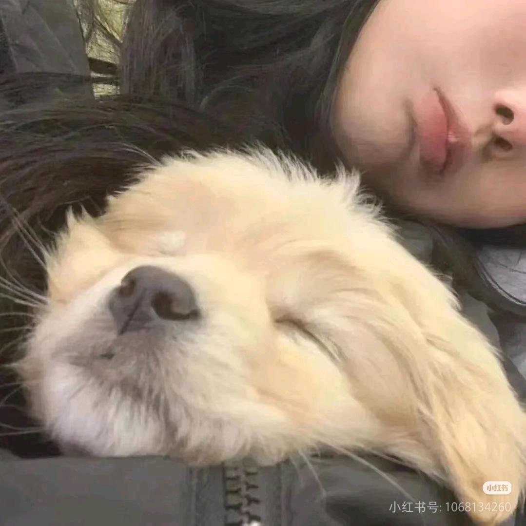 我是zjp他爹