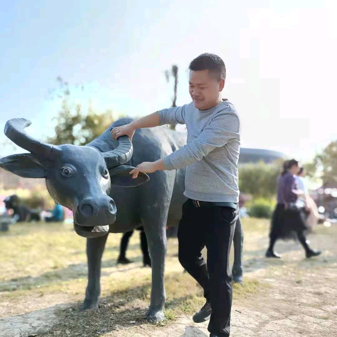 变色龙家具三台店