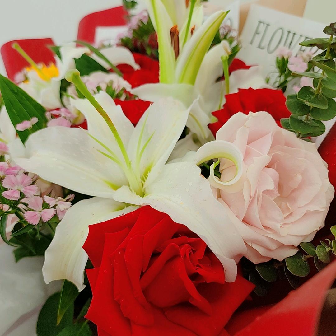 敢闯世界的大姐大