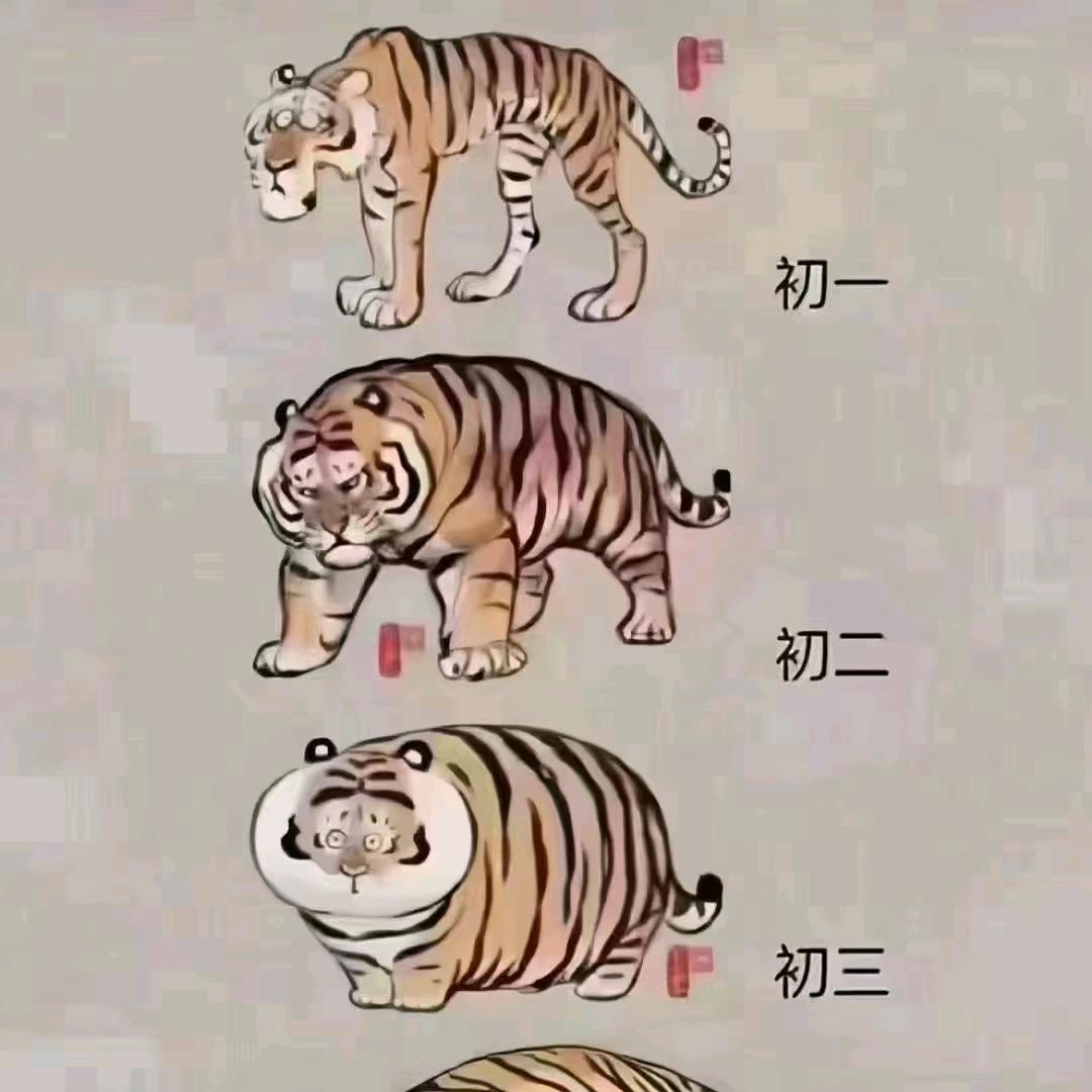 小米小小豆