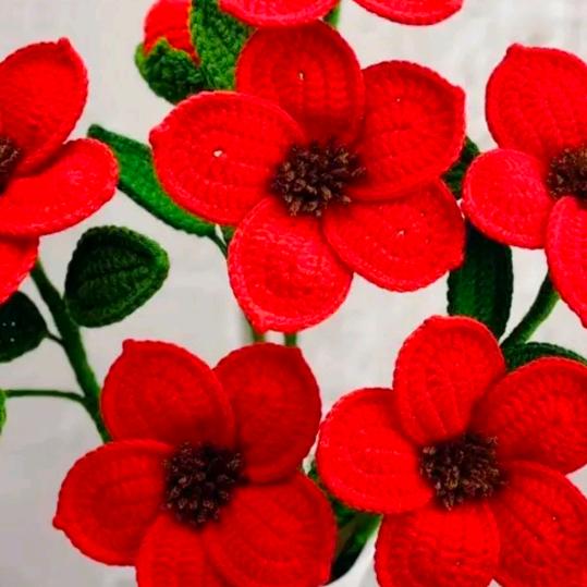 用户50木子，芳22123603591