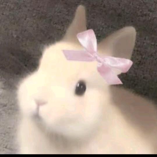 木彡木彡