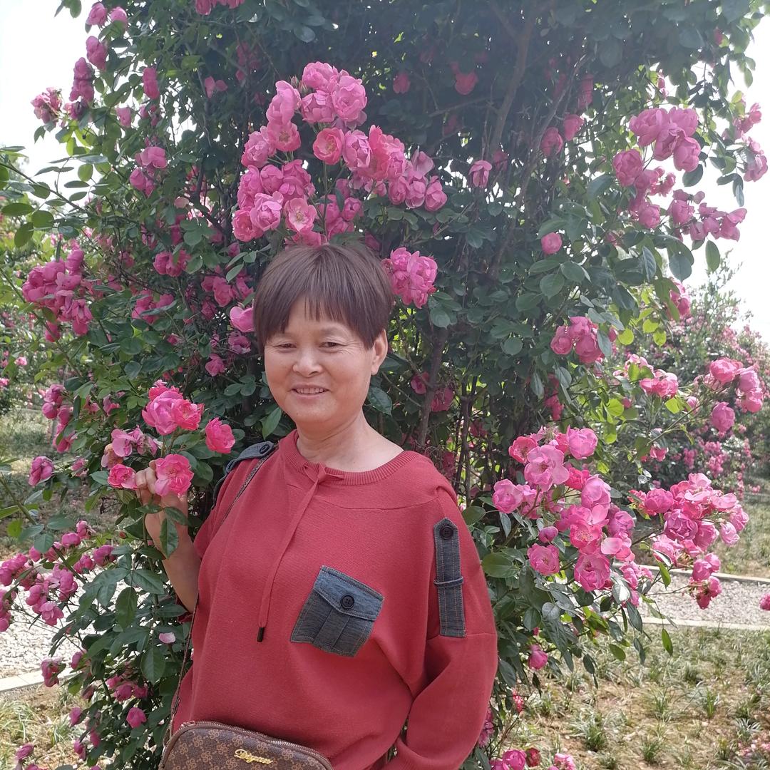 小可愛