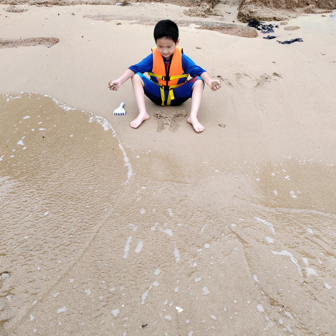 小刀锯大树