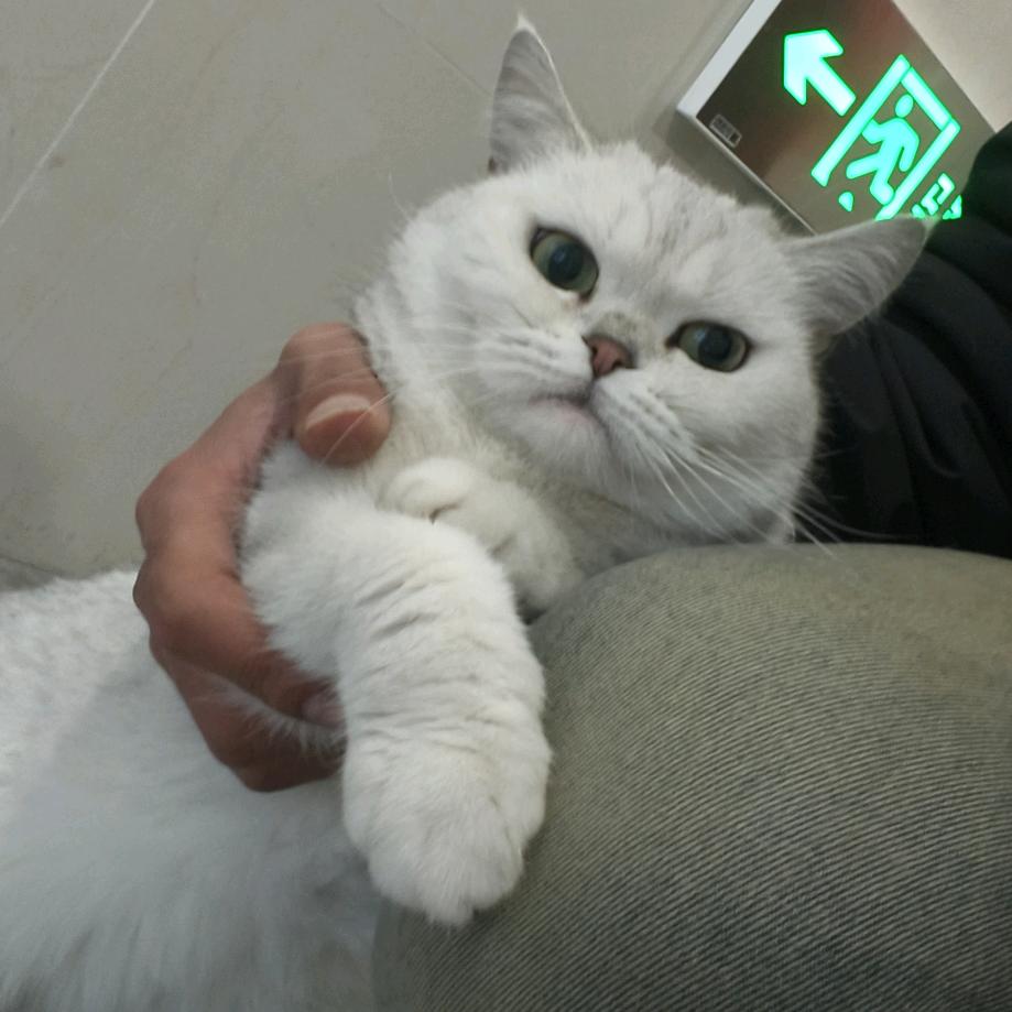 耶~杀生丸
