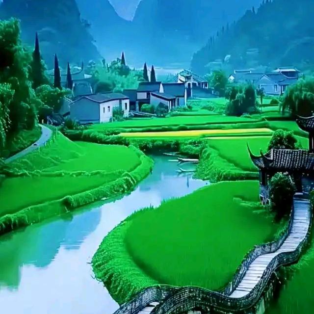 美好的一天