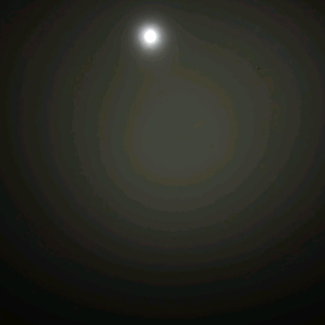 楊辰娃