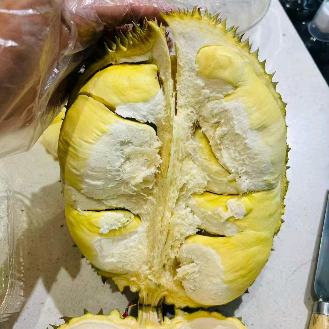 菜地小李