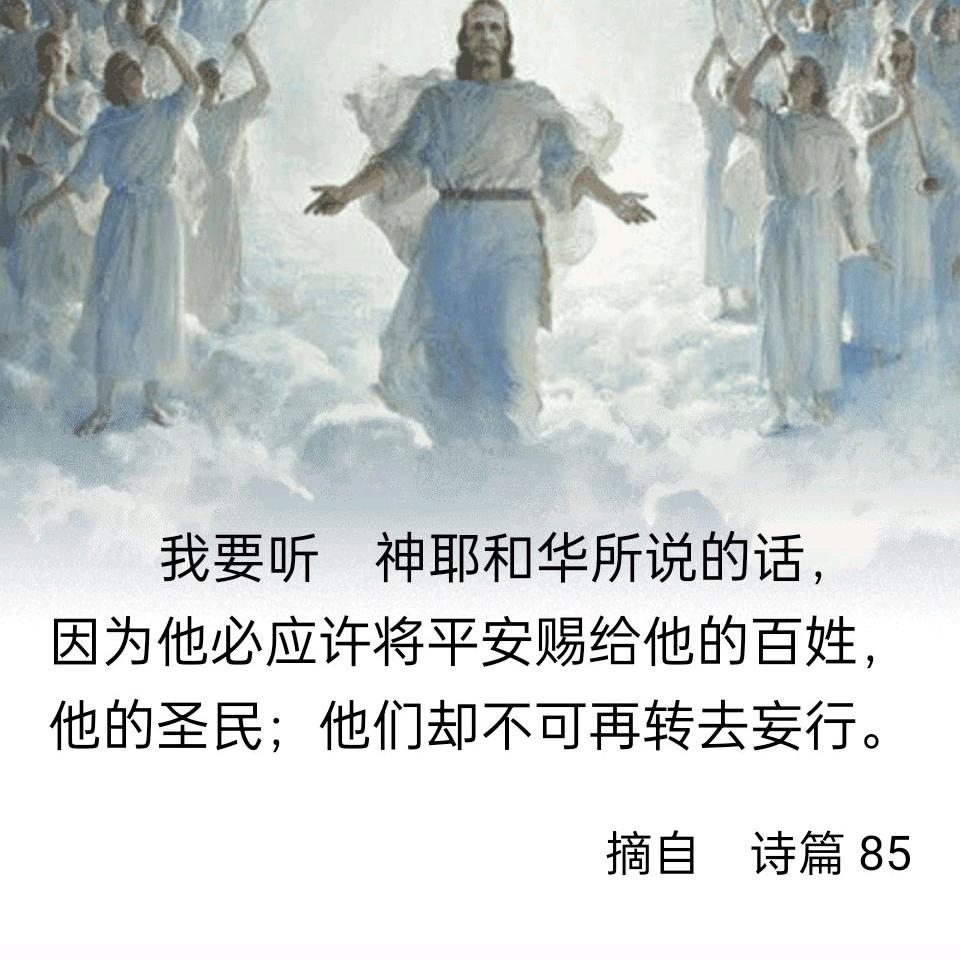 东升晨光