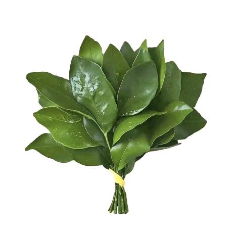 深圳MC酒吧总监（商k预订）