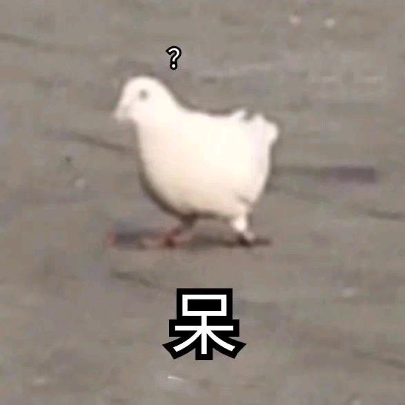 小丧不丧的日常生活