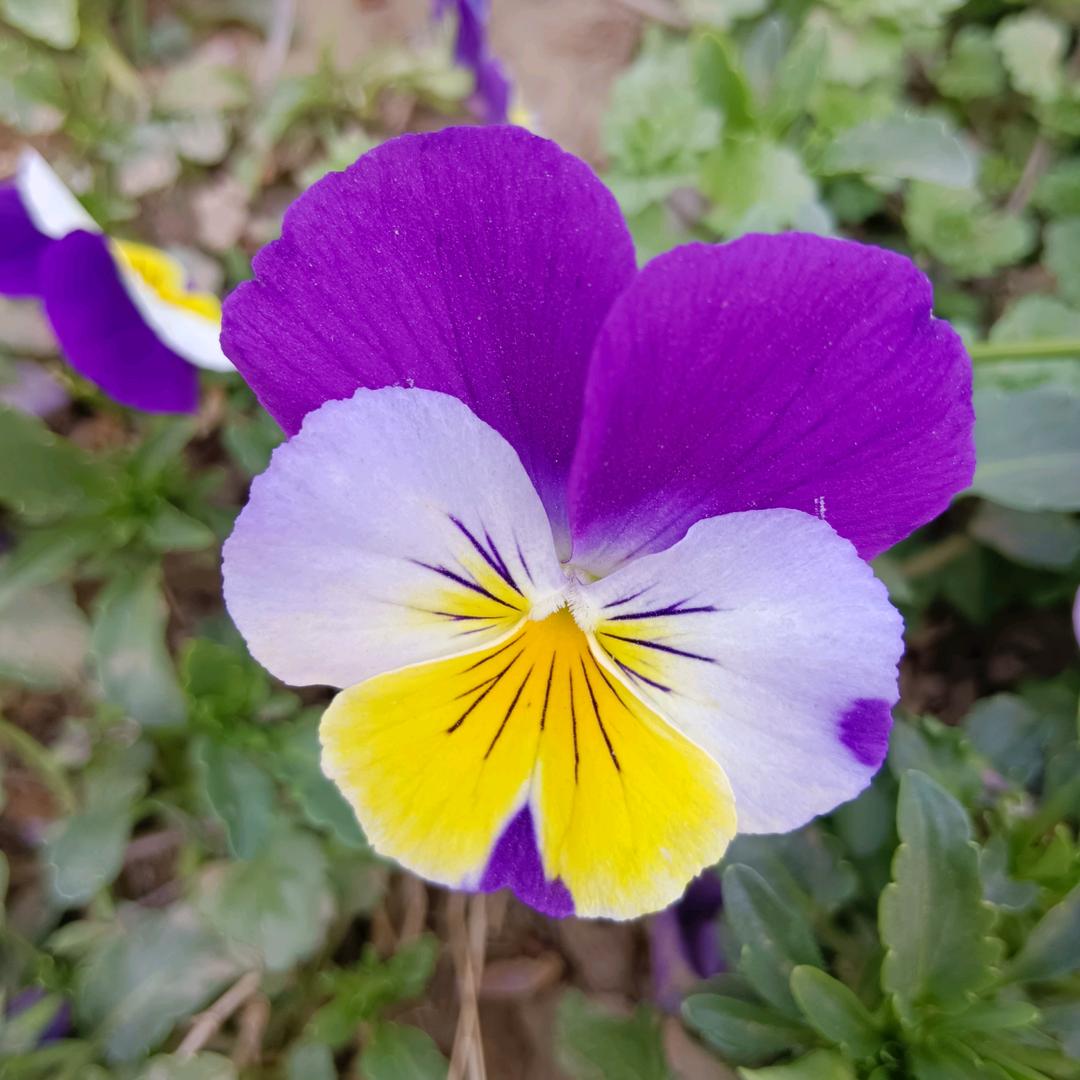 🌈唯一⭐⭐⭐⭐⭐⭐