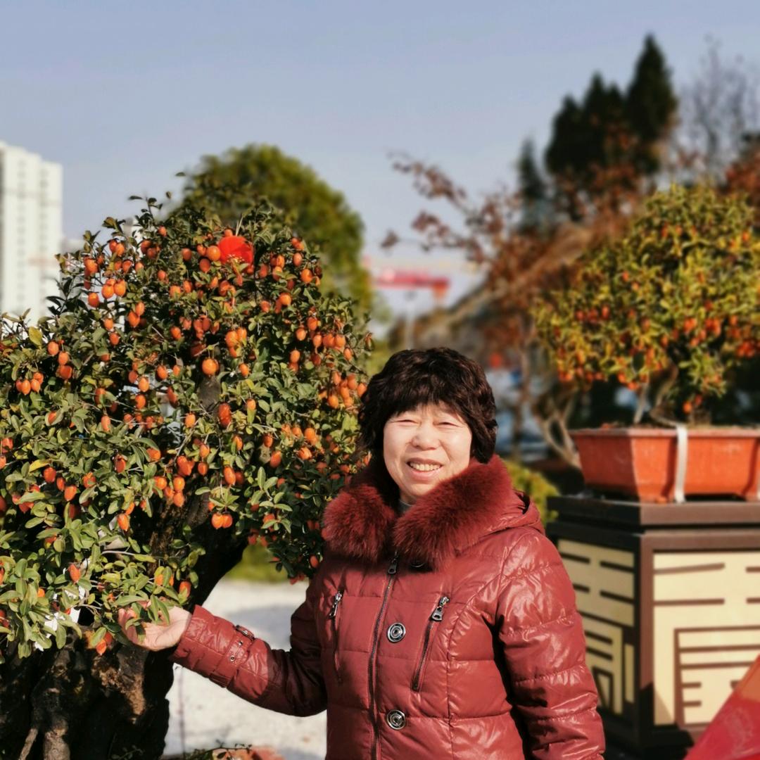 锦上添花
