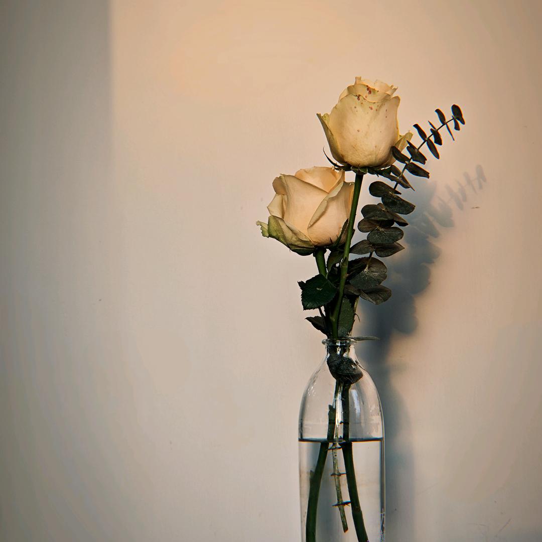 你好，佳期如梦