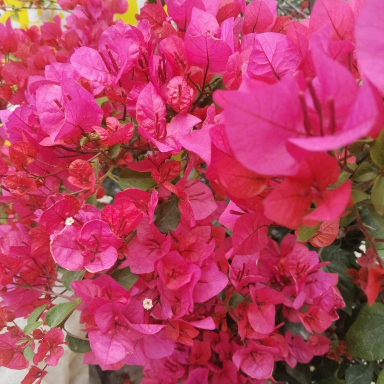 有你真好1762717798