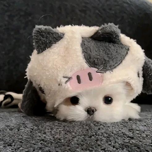 如果说！