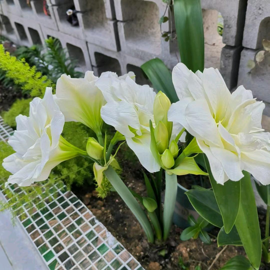 镜花水月( ˘ ³˘)❤
